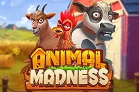 Animal Madness