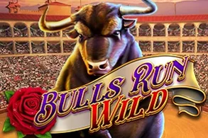 Bulls Run Wild