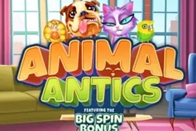 Animal Antics